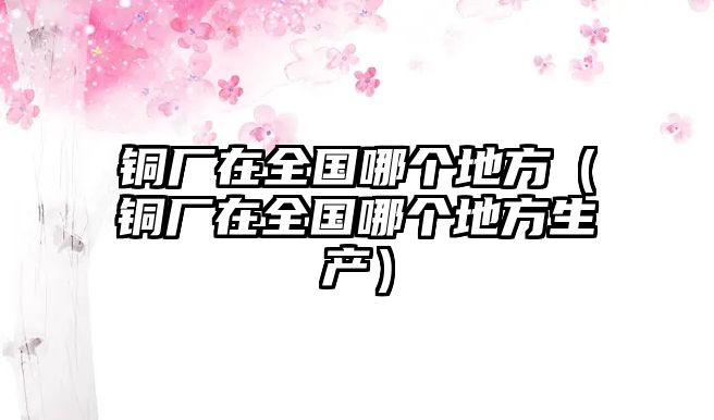 銅廠在全國哪個(gè)地方（銅廠在全國哪個(gè)地方生產(chǎn)）