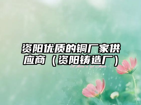 資陽優(yōu)質(zhì)的銅廠家供應(yīng)商（資陽鑄造廠）