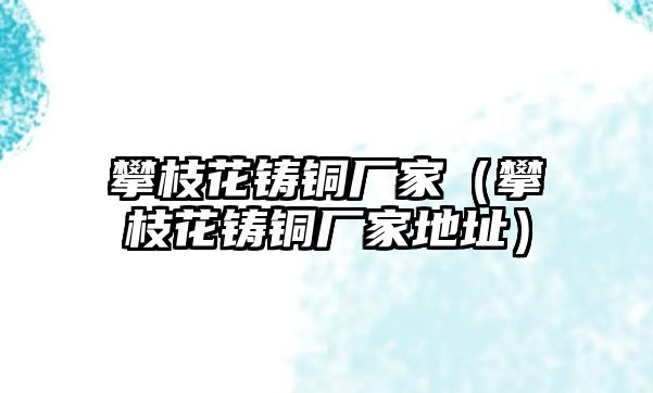 攀枝花鑄銅廠家（攀枝花鑄銅廠家地址）