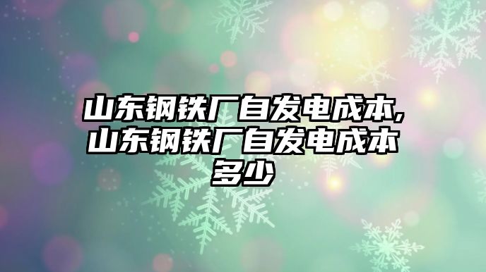 山東鋼鐵廠自發(fā)電成本,山東鋼鐵廠自發(fā)電成本多少