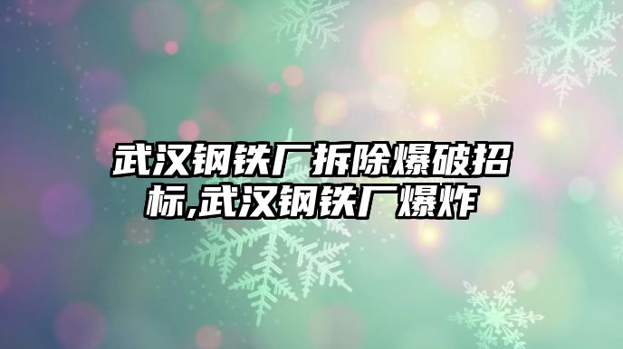 武漢鋼鐵廠拆除爆破招標,武漢鋼鐵廠爆炸