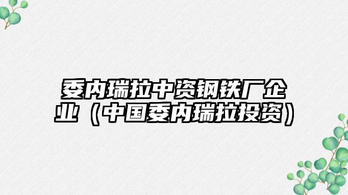 委內(nèi)瑞拉中資鋼鐵廠企業(yè)（中國(guó)委內(nèi)瑞拉投資）