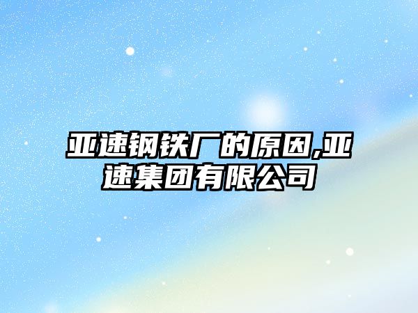 亞速鋼鐵廠的原因,亞速集團有限公司