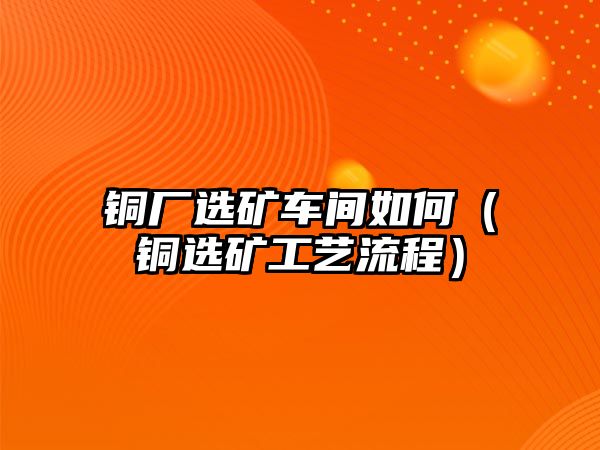 銅廠選礦車間如何（銅選礦工藝流程）