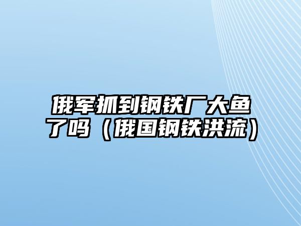 俄軍抓到鋼鐵廠大魚了嗎（俄國鋼鐵洪流）