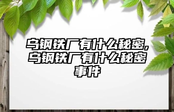 烏鋼鐵廠有什么秘密,烏鋼鐵廠有什么秘密事件