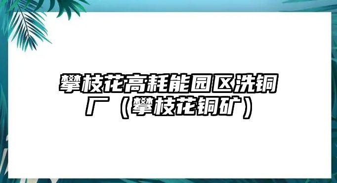 攀枝花高耗能園區(qū)洗銅廠(chǎng)（攀枝花銅礦）