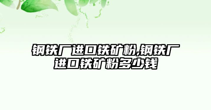 鋼鐵廠進(jìn)口鐵礦粉,鋼鐵廠進(jìn)口鐵礦粉多少錢