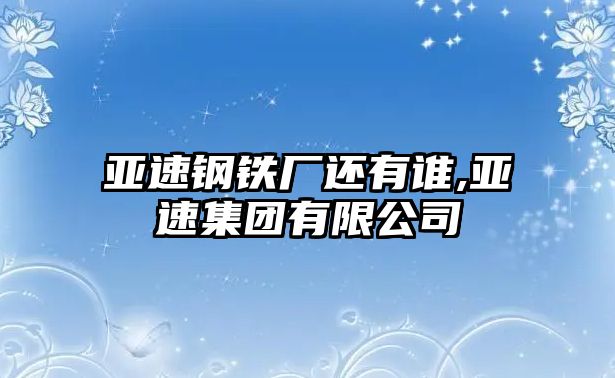 亞速鋼鐵廠還有誰(shuí),亞速集團(tuán)有限公司