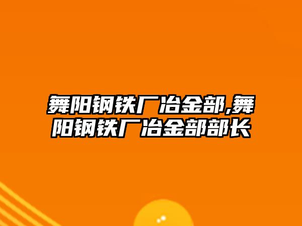 舞陽鋼鐵廠冶金部,舞陽鋼鐵廠冶金部部長