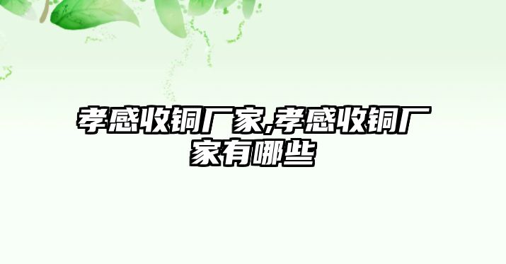 孝感收銅廠家,孝感收銅廠家有哪些