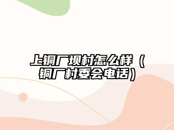 上銅廠壩村怎么樣（銅廠村委會電話）