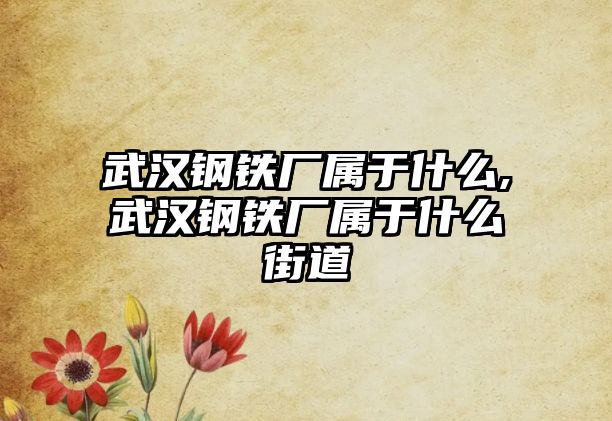 武漢鋼鐵廠屬于什么,武漢鋼鐵廠屬于什么街道