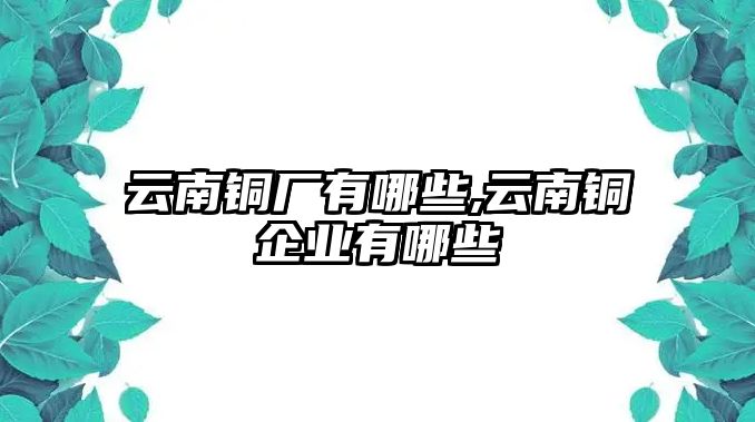 云南銅廠有哪些,云南銅企業(yè)有哪些