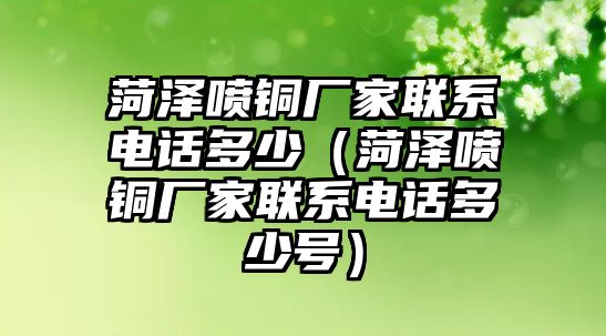 菏澤噴銅廠家聯(lián)系電話多少（菏澤噴銅廠家聯(lián)系電話多少號(hào)）