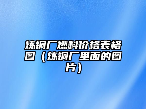 煉銅廠燃料價格表格圖（煉銅廠里面的圖片）