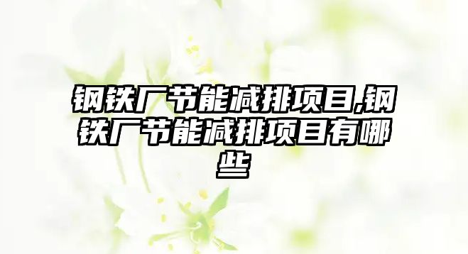 鋼鐵廠節(jié)能減排項目,鋼鐵廠節(jié)能減排項目有哪些