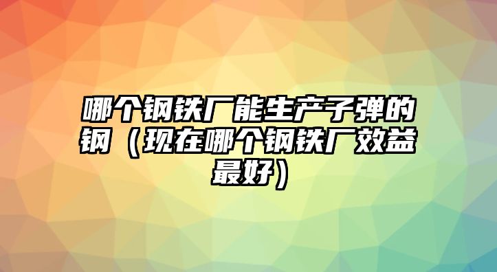 哪個(gè)鋼鐵廠能生產(chǎn)子彈的鋼（現(xiàn)在哪個(gè)鋼鐵廠效益最好）