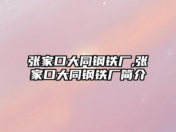 張家口大同鋼鐵廠,張家口大同鋼鐵廠簡介