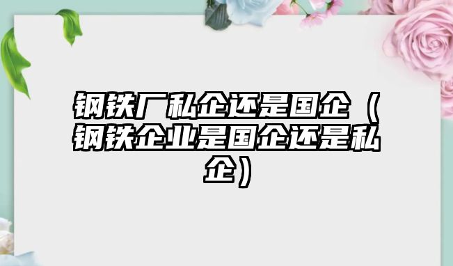 鋼鐵廠私企還是國企（鋼鐵企業(yè)是國企還是私企）