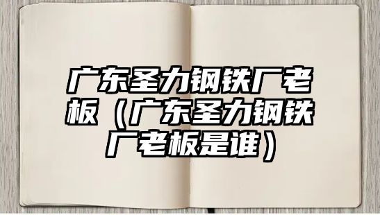 廣東圣力鋼鐵廠老板（廣東圣力鋼鐵廠老板是誰(shuí)）