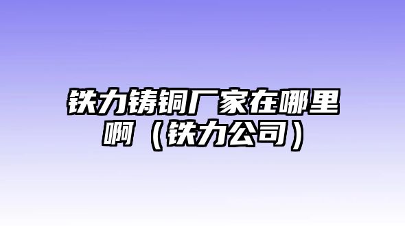 鐵力鑄銅廠家在哪里?。ㄨF力公司）