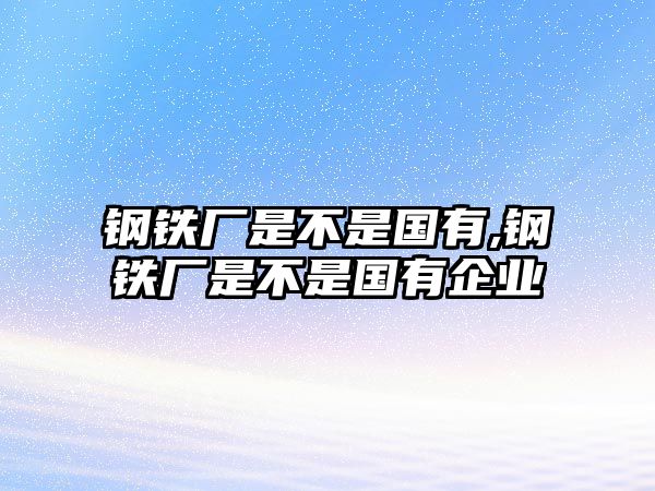 鋼鐵廠是不是國有,鋼鐵廠是不是國有企業(yè)