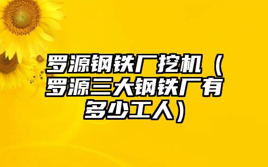 羅源鋼鐵廠挖機（羅源三大鋼鐵廠有多少工人）