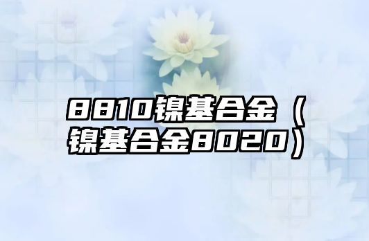 8810鎳基合金（鎳基合金8020）