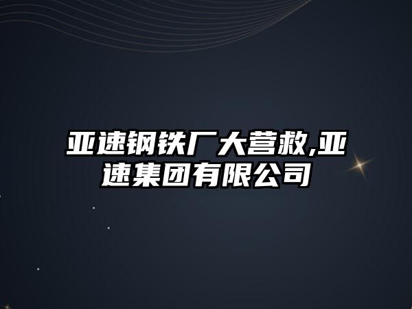 亞速鋼鐵廠大營救,亞速集團(tuán)有限公司