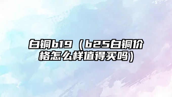 白銅b19（b25白銅價格怎么樣值得買嗎）