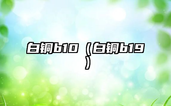 白銅b10（白銅b19）