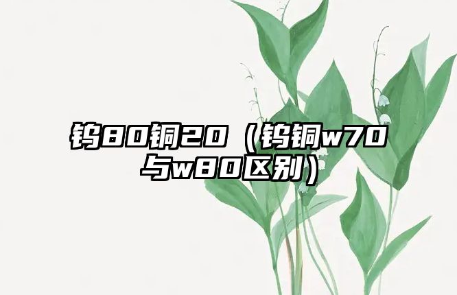 鎢80銅20（鎢銅w70與w80區(qū)別）