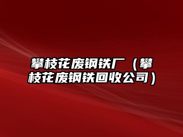 攀枝花廢鋼鐵廠（攀枝花廢鋼鐵回收公司）