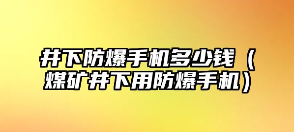 井下防爆手機(jī)多少錢（煤礦井下用防爆手機(jī)）