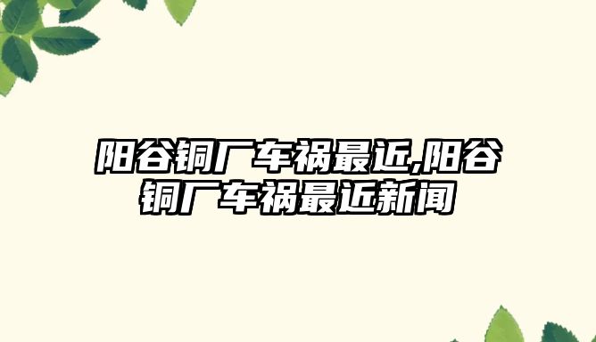 陽谷銅廠車禍最近,陽谷銅廠車禍最近新聞