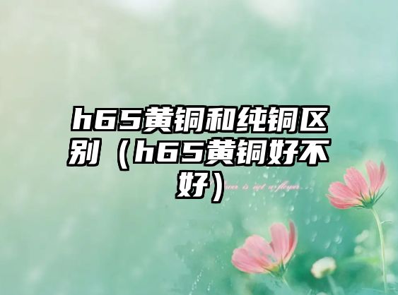 h65黃銅和純銅區(qū)別（h65黃銅好不好）