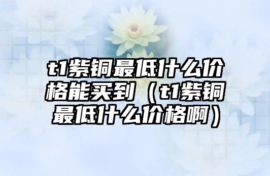 t1紫銅最低什么價格能買到（t1紫銅最低什么價格?。? class=