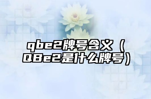 qbe2牌號(hào)含義（QBe2是什么牌號(hào)）