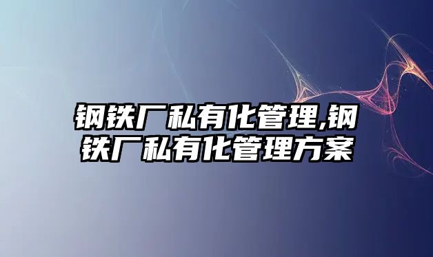 鋼鐵廠私有化管理,鋼鐵廠私有化管理方案