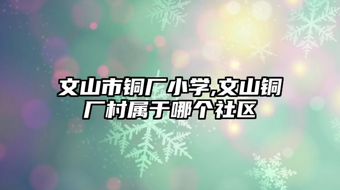 文山市銅廠小學,文山銅廠村屬于哪個社區(qū)