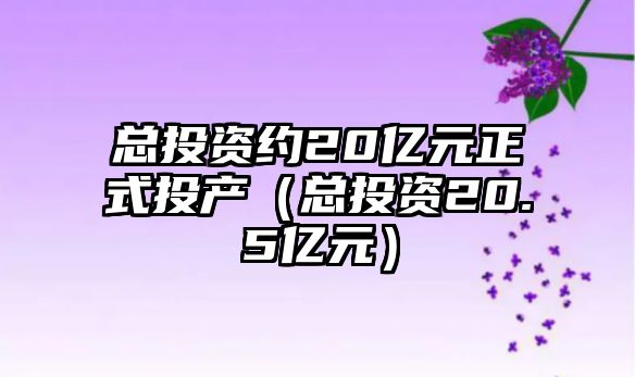 總投資約20億元正式投產(chǎn)（總投資20.5億元）