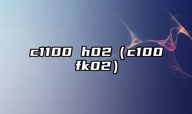 c1100 h02（c100fk02）