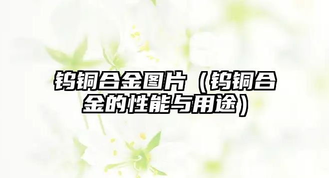 鎢銅合金圖片（鎢銅合金的性能與用途）