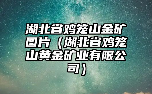 湖北省雞籠山金礦圖片（湖北省雞籠山黃金礦業(yè)有限公司）