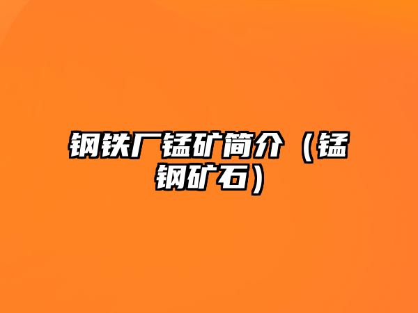 鋼鐵廠錳礦簡介（錳鋼礦石）