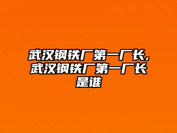 武漢鋼鐵廠第一廠長,武漢鋼鐵廠第一廠長是誰