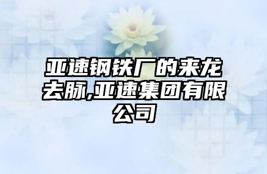 亞速鋼鐵廠的來龍去脈,亞速集團有限公司