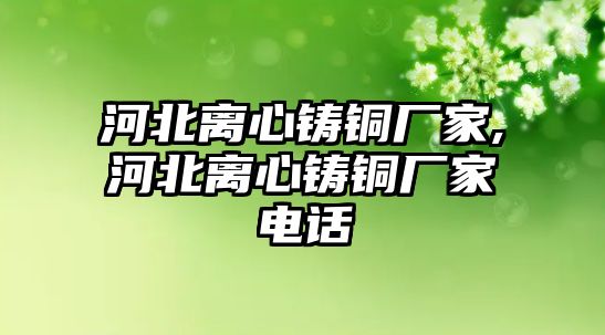 河北離心鑄銅廠家,河北離心鑄銅廠家電話