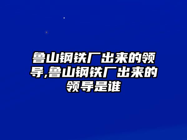 魯山鋼鐵廠出來的領(lǐng)導(dǎo),魯山鋼鐵廠出來的領(lǐng)導(dǎo)是誰